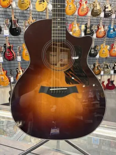 Taylor Guitars - 314CE-SE VST 2